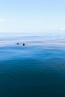 0223-0818-IMG 20250223 081815