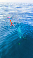 0302-0813-IMG 20250302 081333