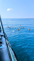 0302-1026-IMG 20250302 102637~2