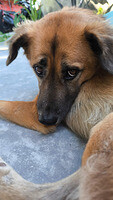 0302-1559-IMG 20250302 155949