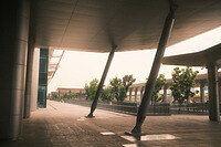 0311-0820-DSCF2485
